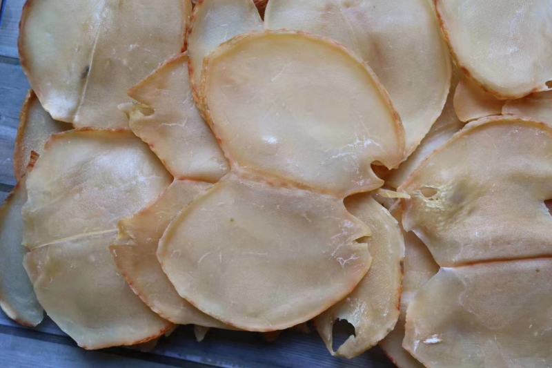 广州人大号响螺片响螺肉高蛋白低脂肪支持批发代发