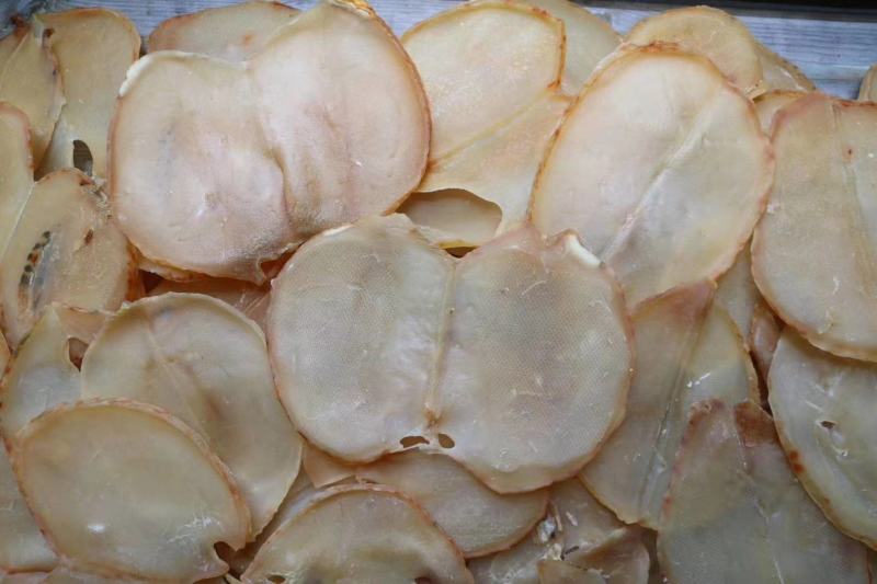 广州人大号响螺片响螺肉高蛋白低脂肪支持批发代发