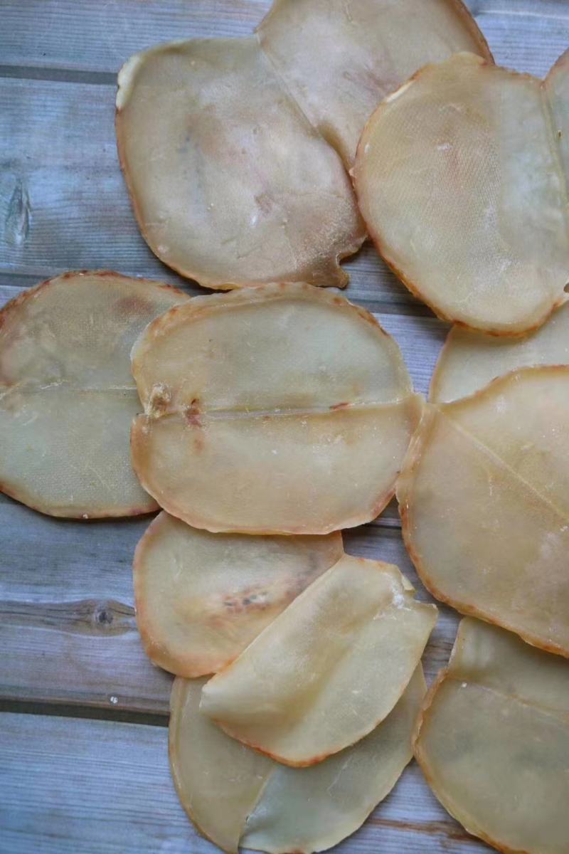广州人大号响螺片响螺肉高蛋白低脂肪支持批发代发