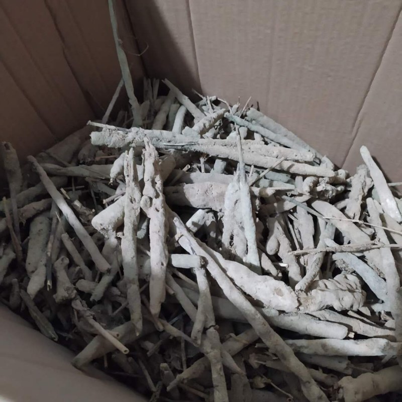 紫梢花紫宵花紫霄花线上交易可搭配多品种采购大货联系客