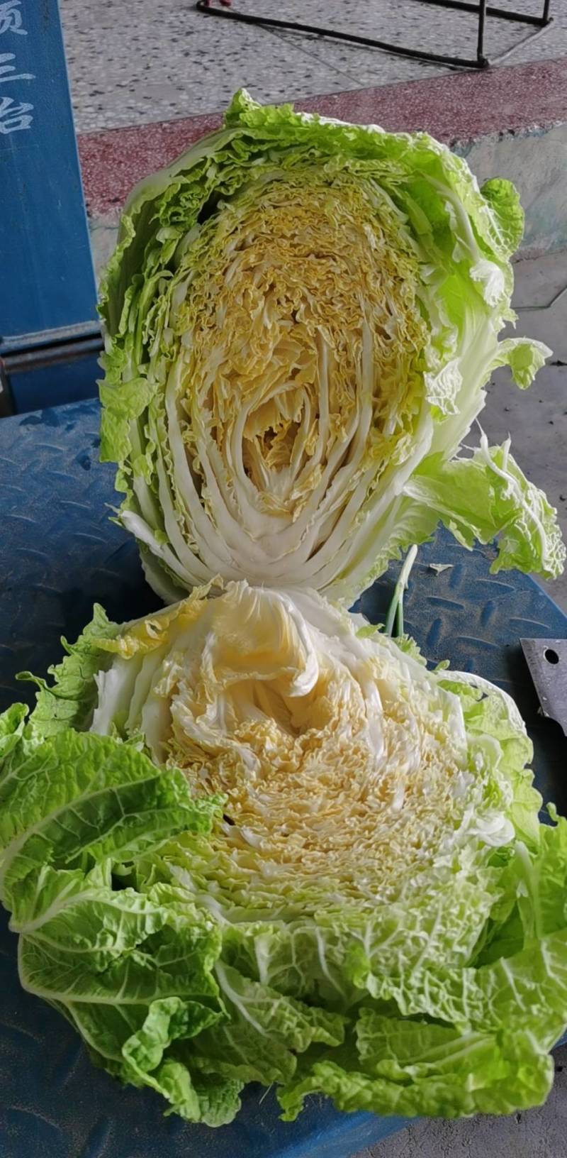 精选江苏白菜万亩基地直发量大价优包装上车