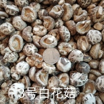 【随州花菇】精品手选产地一手货源批发肉厚/味香/剪脚
