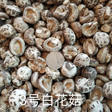 【随州花菇】精品手选产地一手货源批发肉厚/味香/剪脚