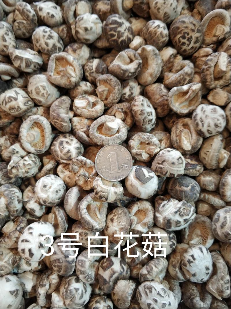 【随州花菇】精品手选产地一手货源批发肉厚/味香/剪脚