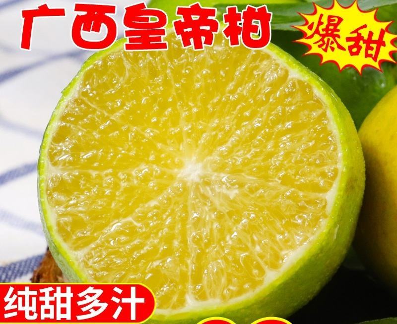 广西皇帝柑贡柑大果当季新鲜水果纯甜多汁现摘现发
