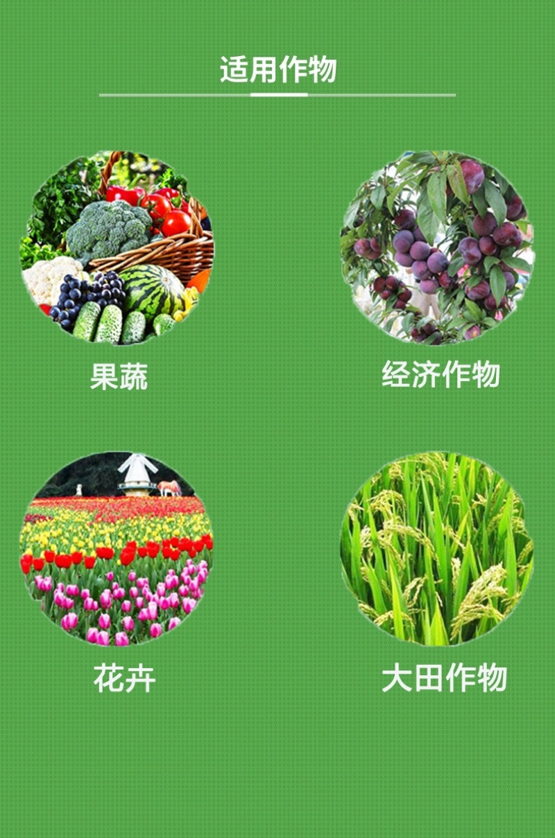 西班牙艾德拉根比奥进口通用型生根液花卉树木扦插移栽快