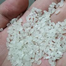 黄河水灌溉的水稻新米上市货源充足质量保证