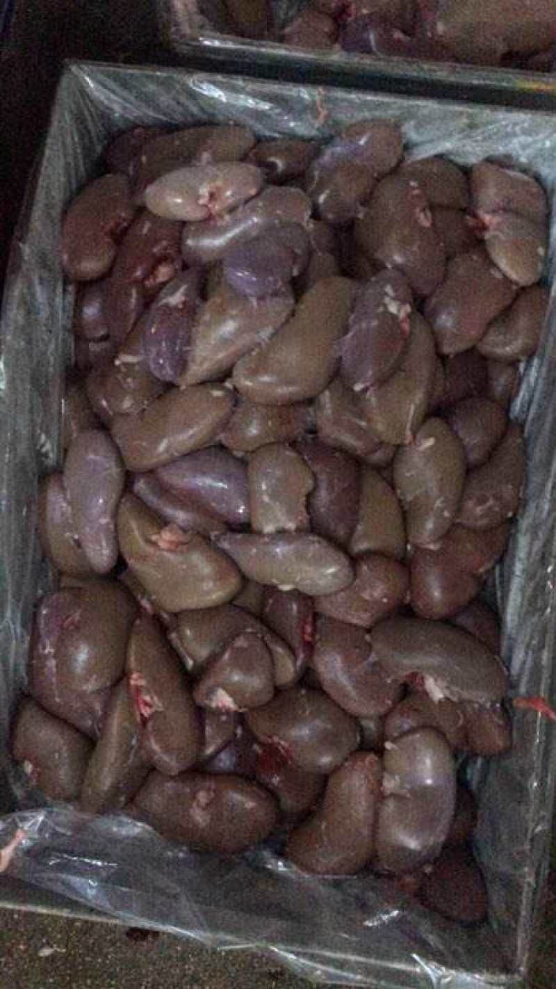 新鲜猪腰