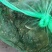 大量批发鲜活固城湖大闸蟹品质堪比阳澄湖大闸蟹大残蟹，残蟹