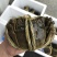 大量批发鲜活固城湖大闸蟹品质堪比阳澄湖大闸蟹大残蟹，残蟹