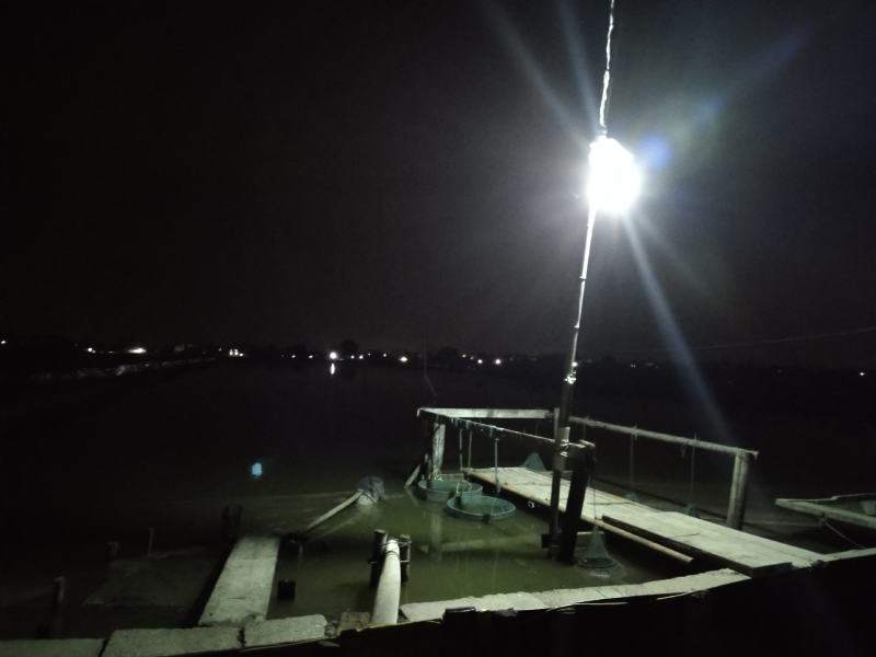 大量批发鲜活固城湖大闸蟹品质堪比阳澄湖大闸蟹大残蟹，残蟹