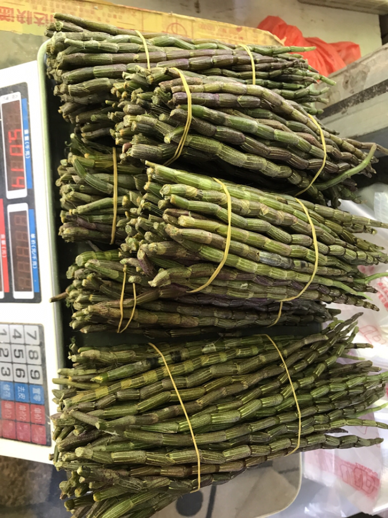 铁皮石斛鲜条粗条石斛养身中药材500克胶质饱满