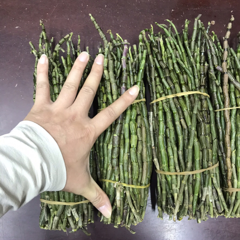 铁皮石斛鲜条粗条石斛养身中药材500克胶质饱满