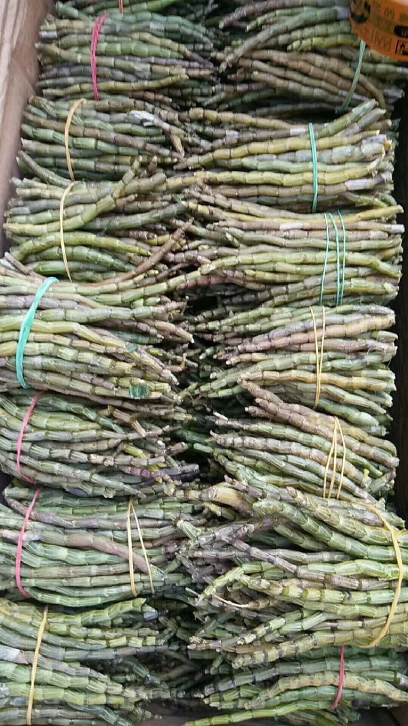 铁皮石斛鲜条粗条石斛养身中药材500克胶质饱满