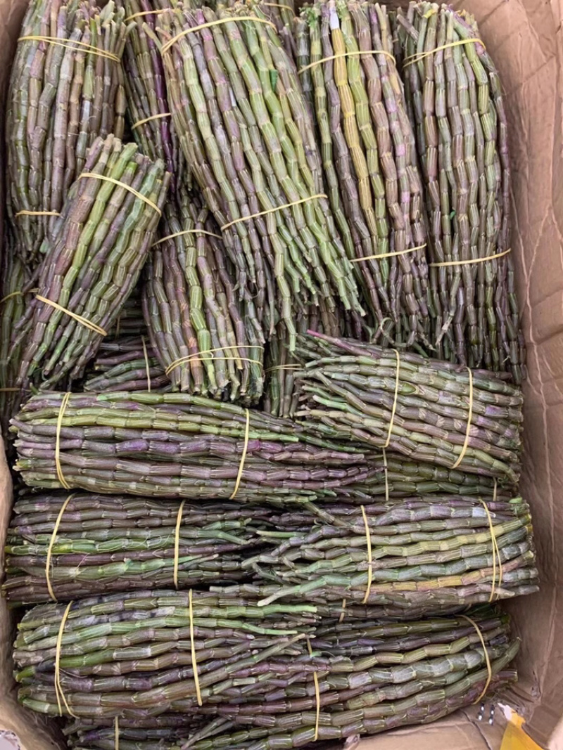 铁皮石斛鲜条粗条石斛养身中药材500克胶质饱满