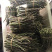 铁皮石斛鲜条粗条石斛养身中药材500克胶质饱满