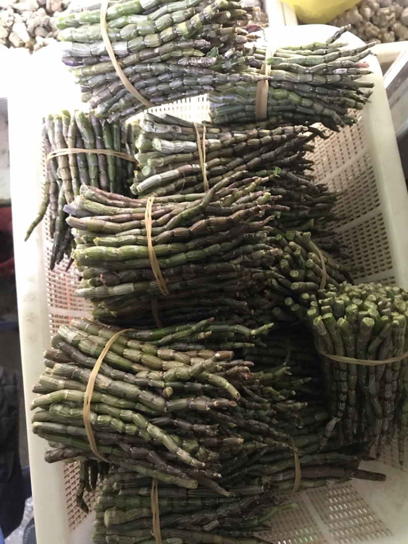 铁皮石斛鲜条粗条石斛养身中药材500克胶质饱满