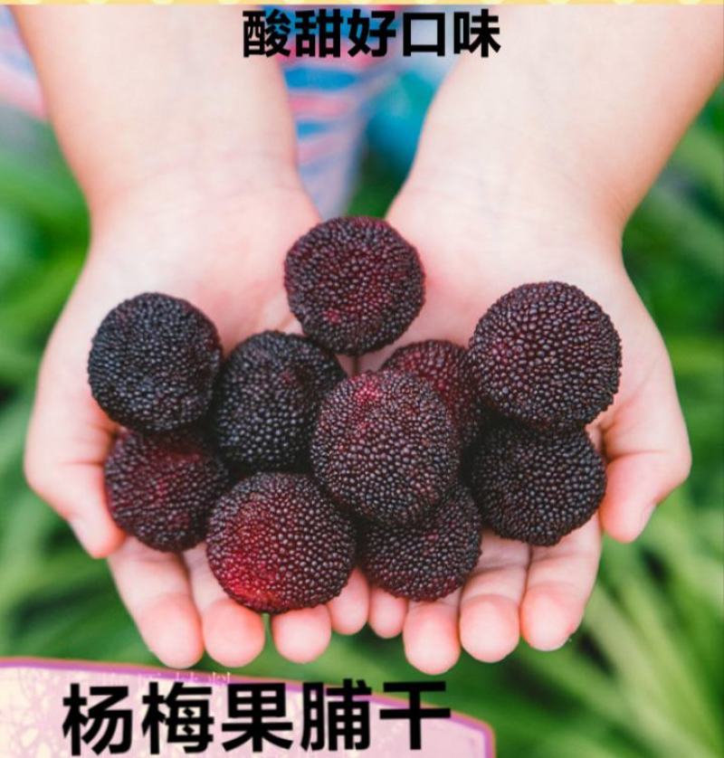 杨梅干果脯杨梅干酸甜杨梅干晒干杨梅干包邮