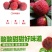 杨梅干果脯杨梅干酸甜杨梅干晒干杨梅干包邮