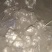 大量出售白皮洋姜,菊芋物美价廉