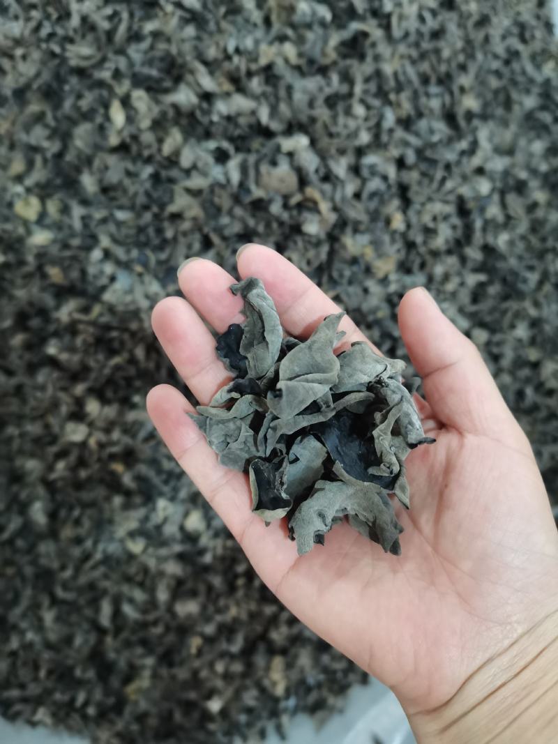 22年新货正宗东北黑木耳产地直发一手货源量大从优，