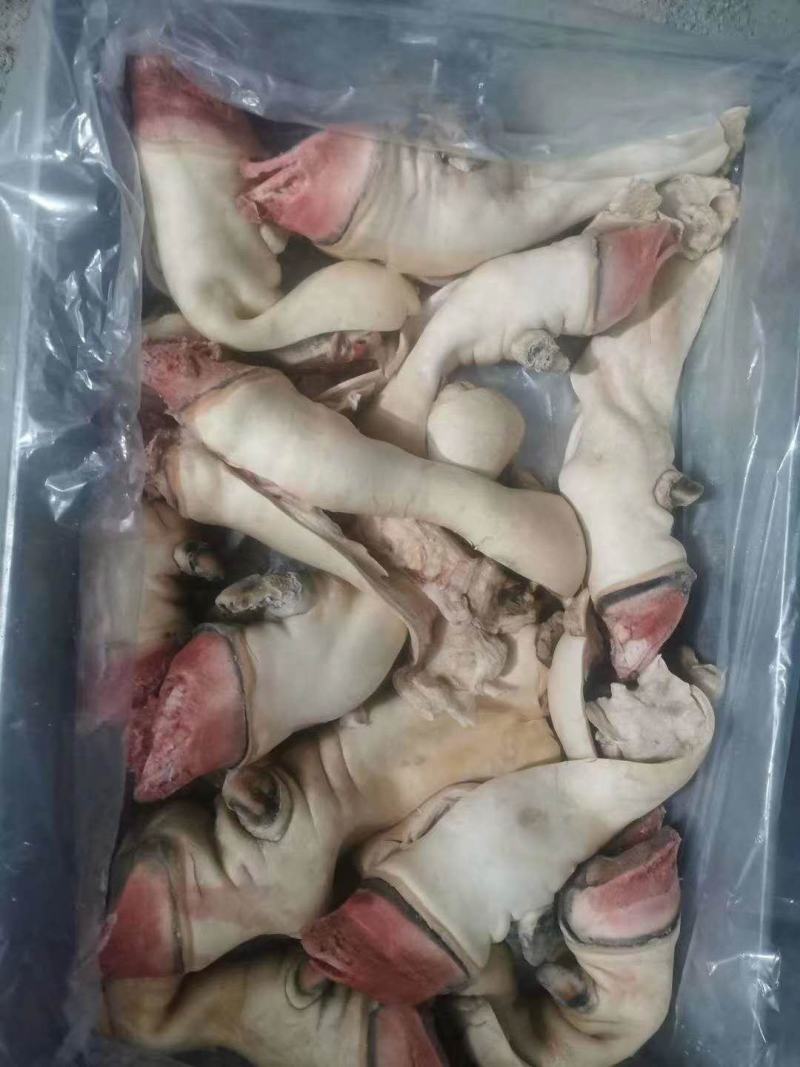 全去骨育肥牛蹄，长年加工中，25公斤定装。
