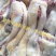 全去骨育肥牛蹄，长年加工中，25公斤定装。