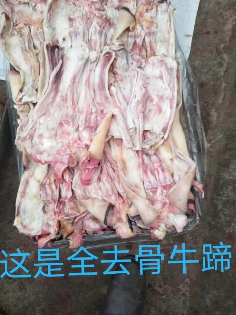 全去骨育肥牛蹄，长年加工中，25公斤定装。
