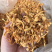 孢子头虫草花新货食用菌干货虫草花金虫草散装支持一件代发