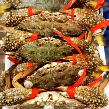 冰鲜花蟹，肉多味道正，价格实惠，诚实交易