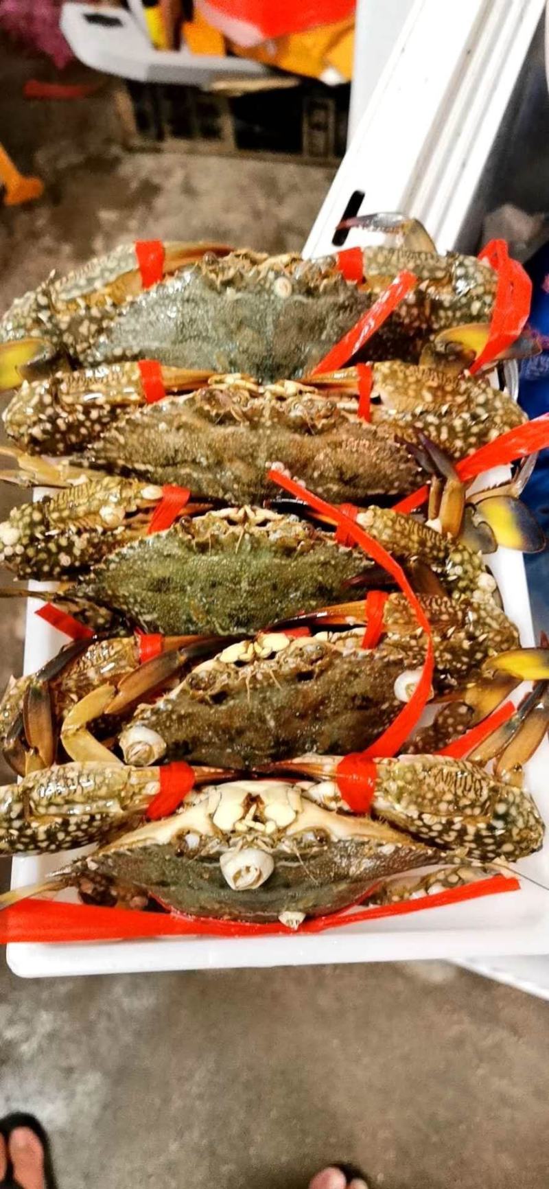 冰鲜花蟹，肉多味道正，价格实惠，诚实交易