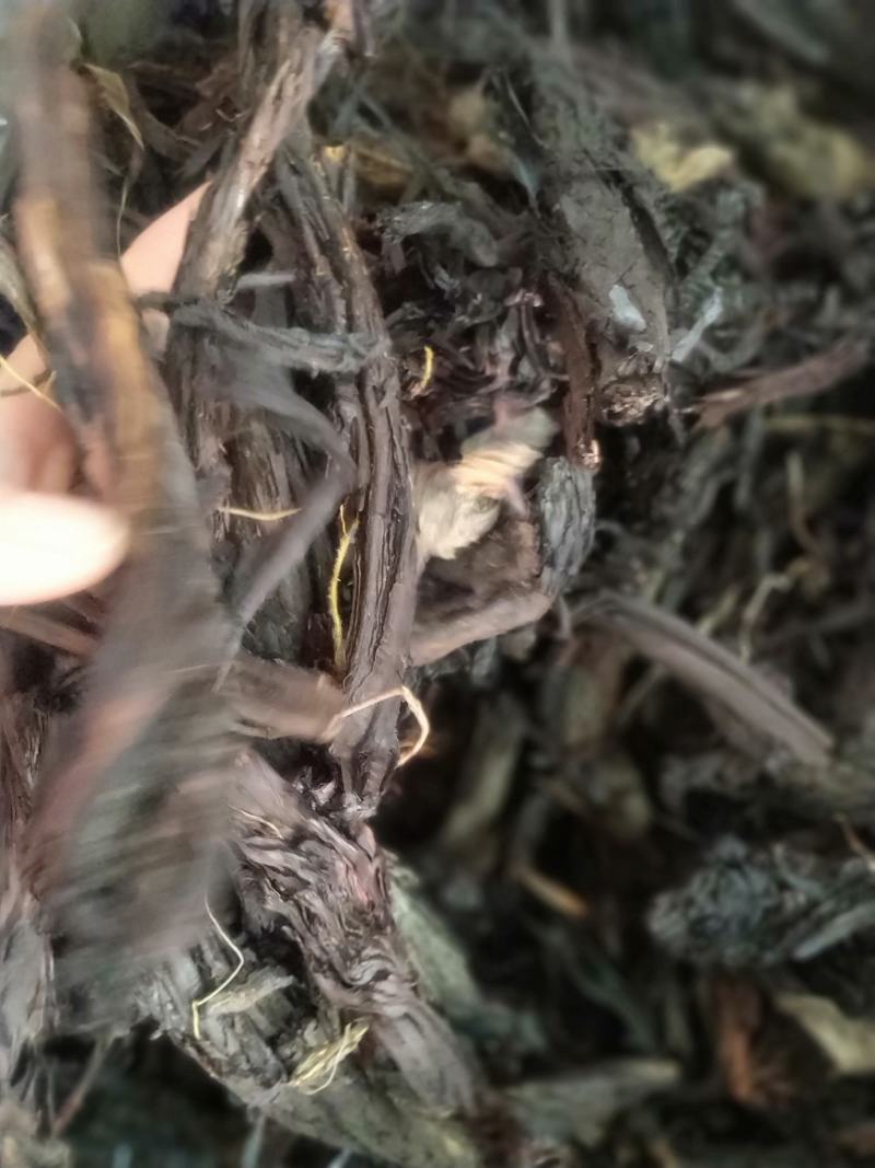 紫草新货无杂质一手产地货源直销批发