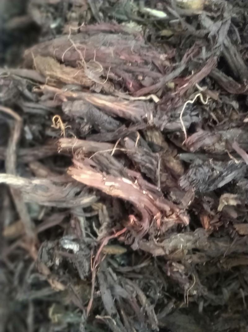 紫草新货无杂质一手产地货源直销批发