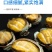 包邮【特大号】鲜活大鲍鱼新鲜冷冻个大鲜活海捕超大新鲜鲍鱼