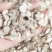 白芍圆片新货无杂质一手产地货源直销批发
