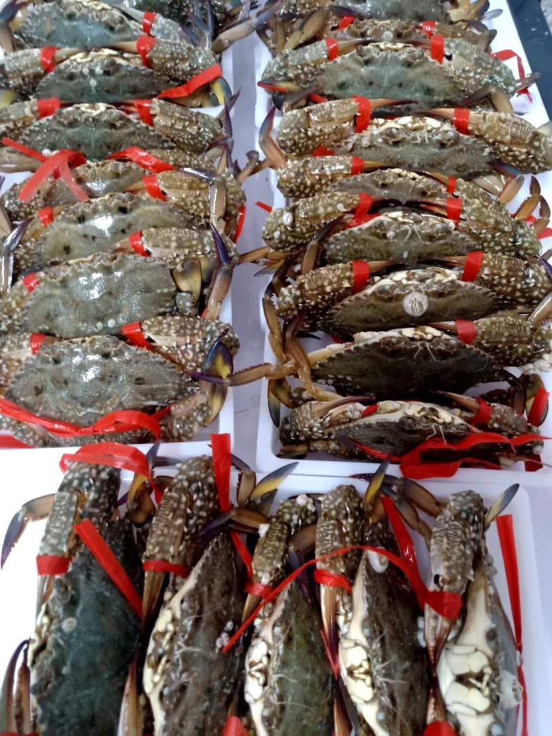 北海特产，味道正，甜，诚实守信，做生意本本分分