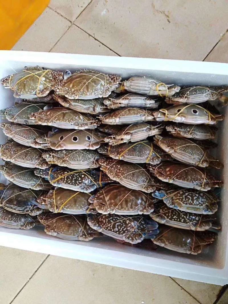北海特产，味道正，甜，诚实守信，做生意本本分分