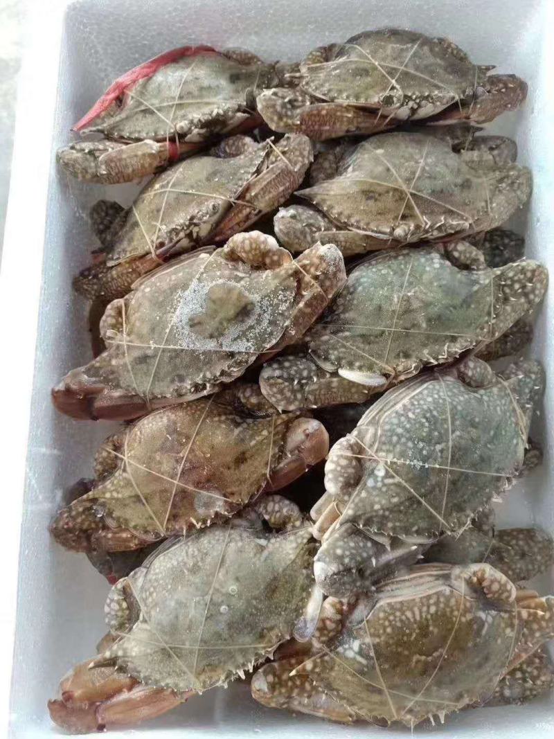 北海特产，味道正，甜，诚实守信，做生意本本分分