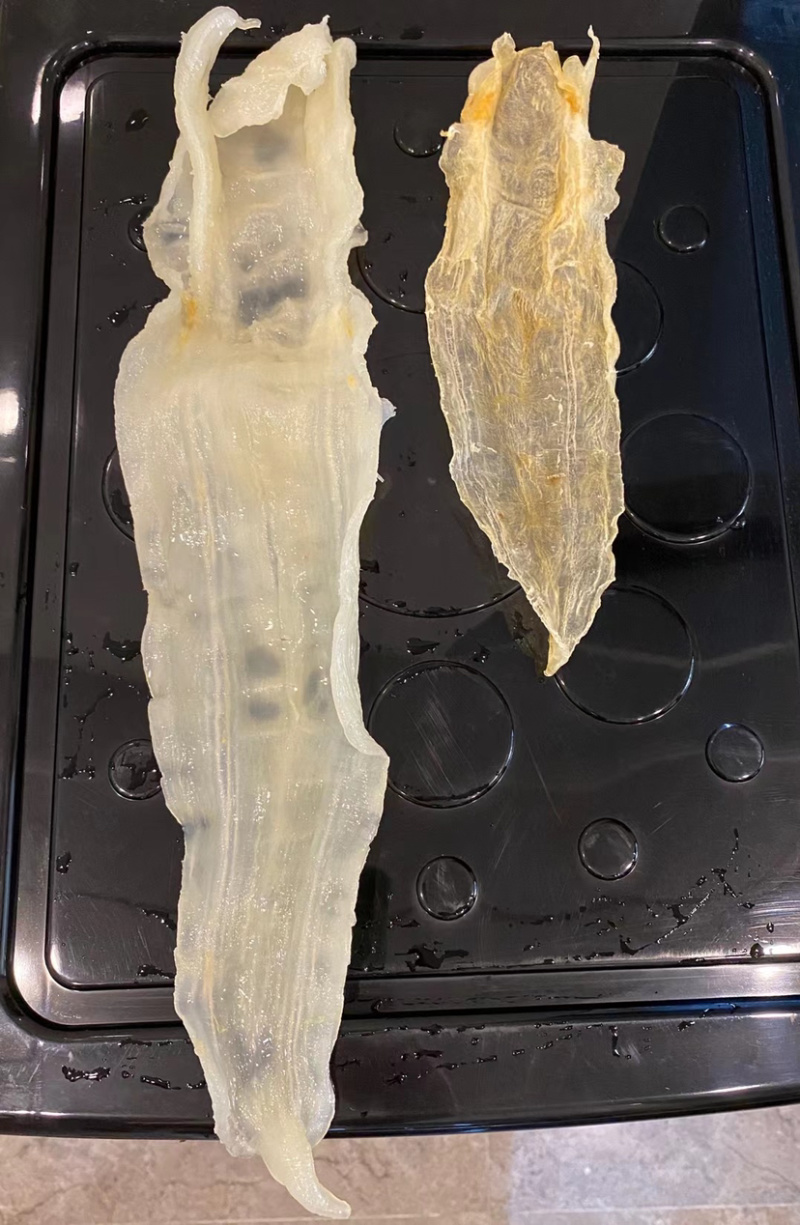 鱼胶阴阳片阴阳胶北海鳘鱼胶黄花胶阴阳公阴阳肚孕妇滋补品