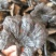 灵芝新货各种规格货源优质产地直销批发