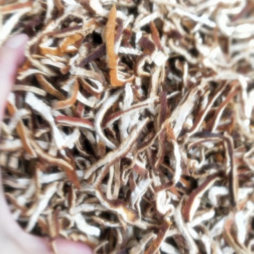陈皮丝新货无杂质一手产地货源直销有现大货