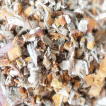 桑白皮新货一手优质货源直销批发量大优惠