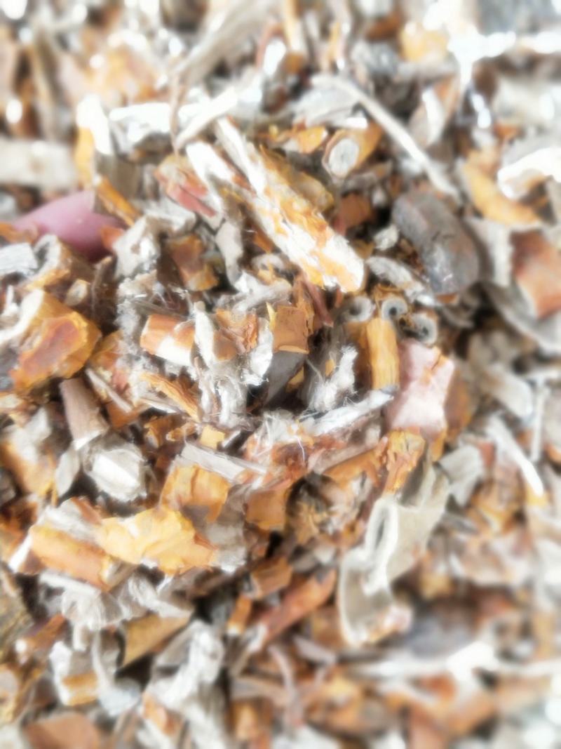 桑白皮新货一手优质货源直销批发量大优惠