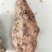 土茯苓鲜个煲汤料清香甘甜各种规格都有大量现货