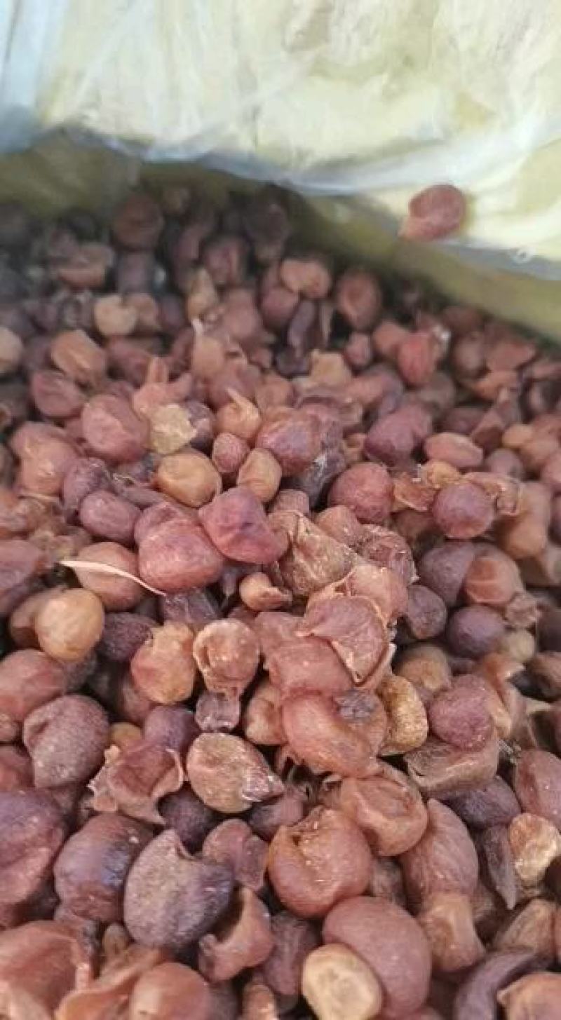 包邮广西山黄皮干精品，统货各规齐全批零兼营，质优价美