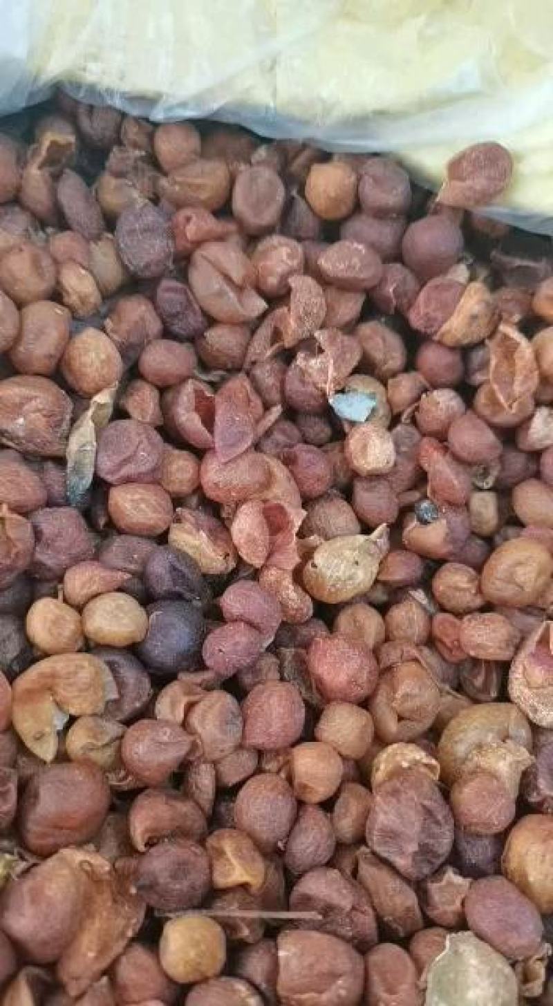 包邮广西山黄皮干精品，统货各规齐全批零兼营，质优价美