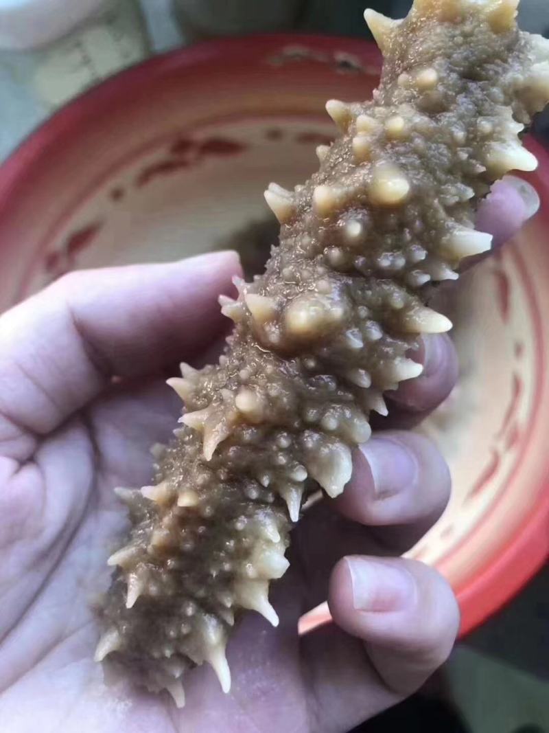 海参刺参印尼白刺王深海水产滋补海味干货泡发大口感好有韧性