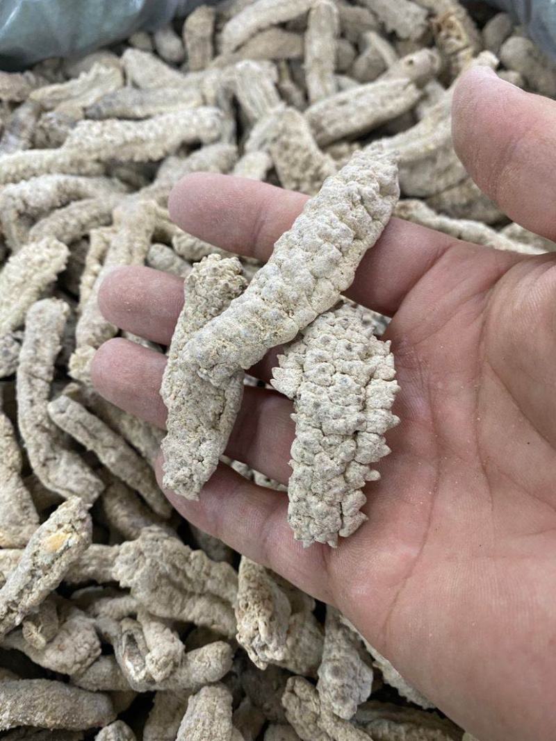 海参刺参印尼白刺王深海水产滋补海味干货泡发大口感好有韧性
