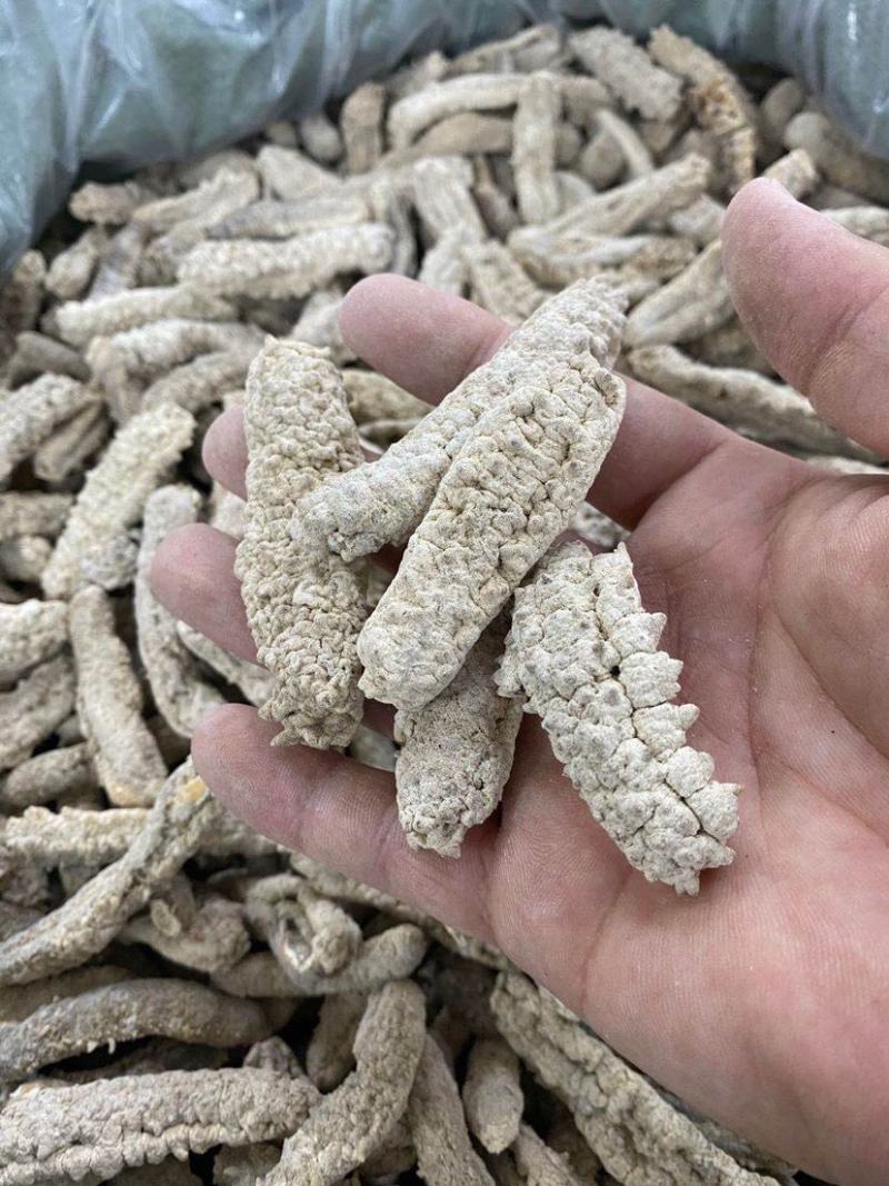 海参刺参印尼白刺王深海水产滋补海味干货泡发大口感好有韧性