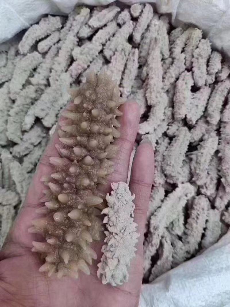 海参刺参印尼白刺王深海水产滋补海味干货泡发大口感好有韧性
